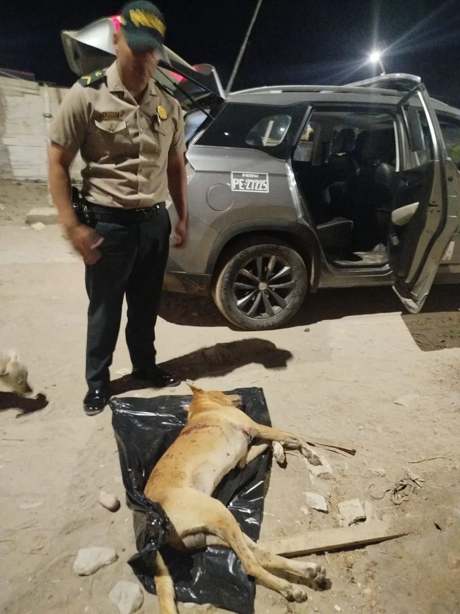 🚨🚨IMAGEN SENSIBLE ⚠️⚠️
Germán Alberto López Noreña ES EL NOMBRE DE ESTE MALDITO que acuchilló a un perrito en #Mancora es colombiano y fue detenido pero PARA VARIAR la justicia no es tajante, por eso lo sueltan en 48hrs DIFUSIÓN para que esta bestia no quede libre 😡