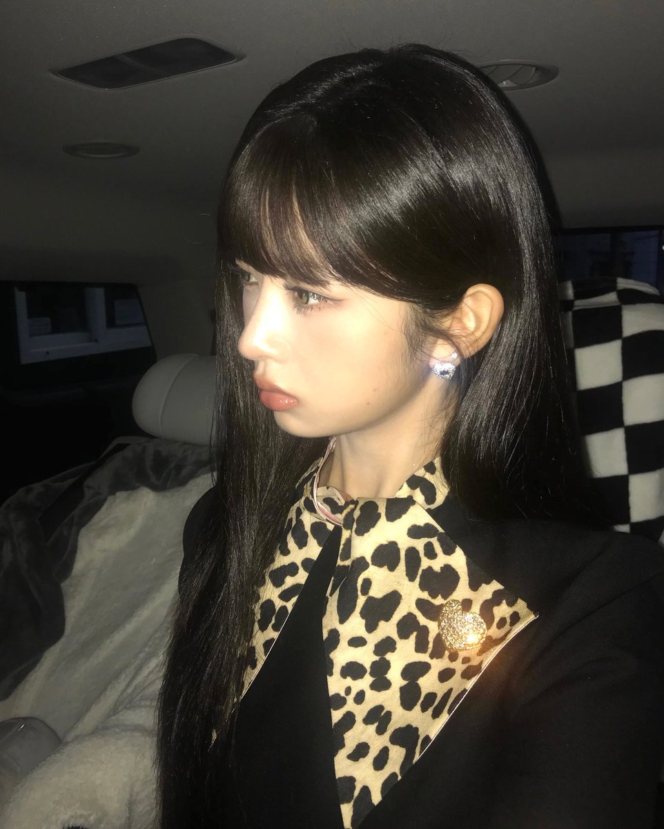 なおりゆうた🐥🍓🍍🌵🐹 🦭🦛 on X