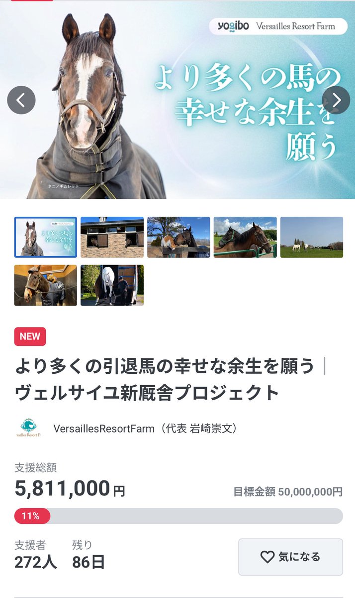 Versailles_Farm's tweet photo. トランセンドもレベル1となっています🐴
ラニは殺意がある目でこちらを…

クラウドファンディングの進捗は🐴
現在までに…
272名の皆さまから 5,811,000円（目標の11%） のご支援をいただきました‼️
本当にありがとうございます🙇‍♂️✨

一口一口の応援が、馬たちの未来を大きく変える力になっています。
心より感謝申し上げます。

目標の5,000万円、そして最終ゴール7,000万円に向けて、まだ挑戦は続きます。
どうか引き続きのご支援・シェアでの応援をよろしくお願いいたします！

👉 プロジェクトページはこちら
https://t.co/H6iFUCMxZ0

#クラウドファンディング
#引退馬と呼ばない未来へ
#ラニ
#トランセンド
#Yogibo