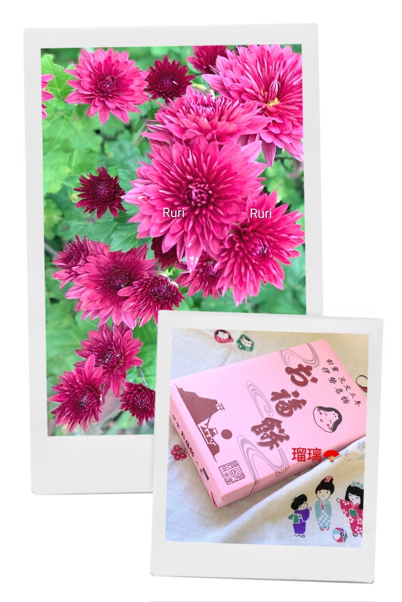 Ruri💍 (@ruri03291) / X