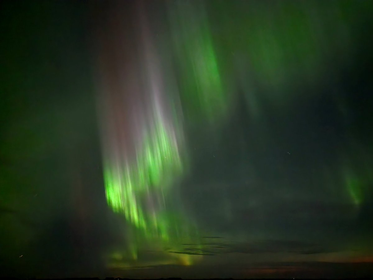 Mark Milleker tweet media