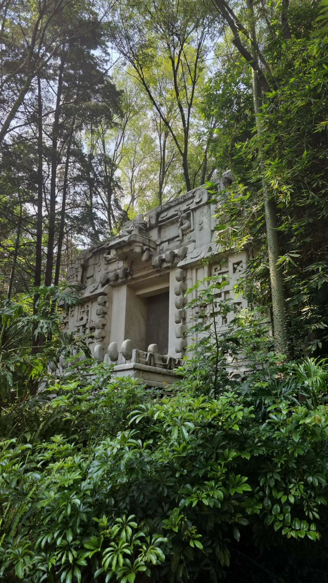 ADA_WolfMode's tweet image. Wolf Mode is howling in Mexico City tonight. What you doing?

AAAOOOOOOOOOHHH!!!!

#WolfMode #Cardano