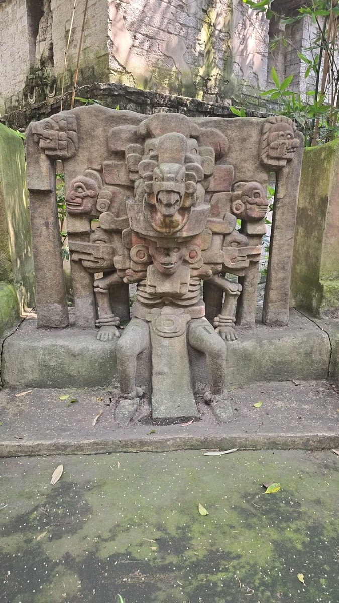 ADA_WolfMode's tweet image. Wolf Mode is howling in Mexico City tonight. What you doing?

AAAOOOOOOOOOHHH!!!!

#WolfMode #Cardano