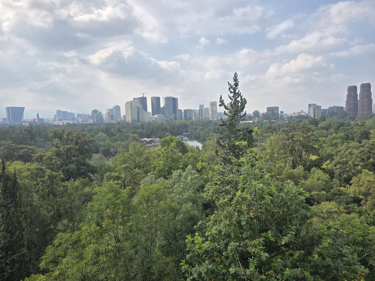 ADA_WolfMode's tweet image. Wolf Mode is howling in Mexico City tonight. What you doing?

AAAOOOOOOOOOHHH!!!!

#WolfMode #Cardano