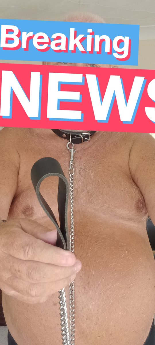 Say Hi if you wanna get collared and walk perfectly with me to the grocery store 🏪