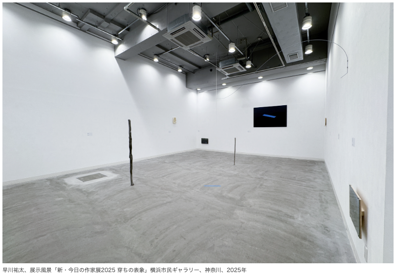 【フォト】新・今日の作家展2025 穿ちの表象 @ 横浜市民ギャラリー
9/13〜10/6｜同時代の表現を紹介、考察してきた展覧会企画。2025年度は「穿ちの表象」を副題に、畑山太志、早川祐太、松原茉莉の作品を紹介。#ARTiT art-it.asia/top/admin_exph…