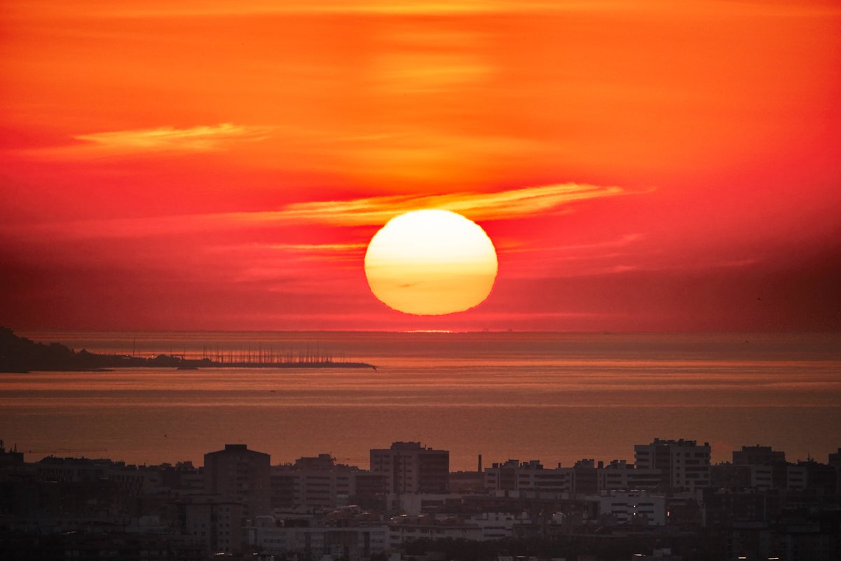 joanlopezphoto's tweet photo. Omega Dawn Awakens the City (II)
📸 Fujifilm X-T5
📷 Fujinon XF 100-400mm F4.5/5.6 R LM OIS WR
📍 Jardins del Doctor Pla i Armengol, el Guinardó, Horta-Guinardó, #Barcelona
#sun #sunrise #landscape #seascape #cityscape #photography #OmegaSunrise #OmegaSun #SunrisePhotography https://t.co/sUqxMAWUOy