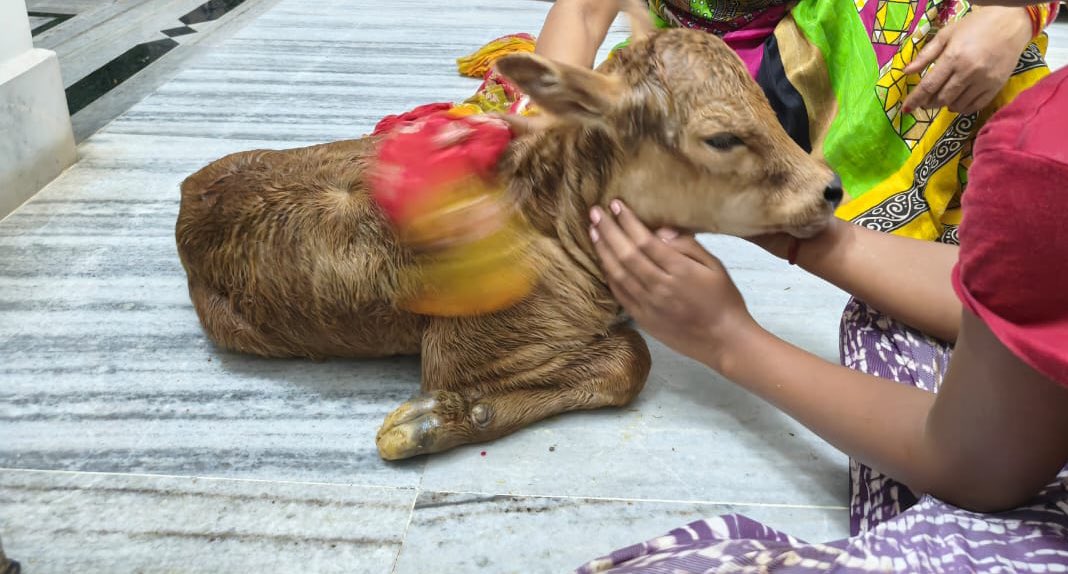 Ekadashi pe nayi family member aayi h 🥹❤️ 
राधे राधे 🌸