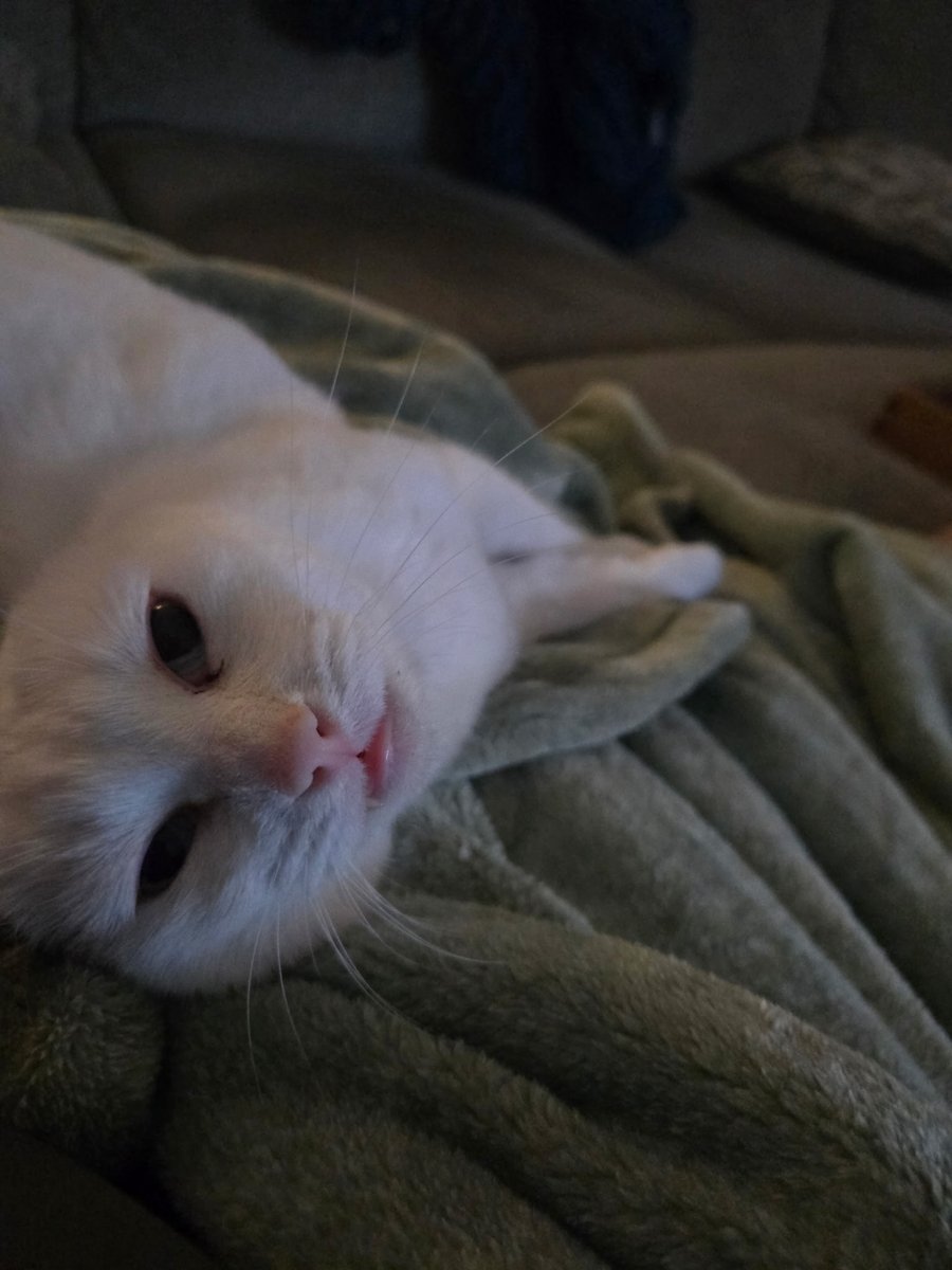 Get a woman who looks at you like this