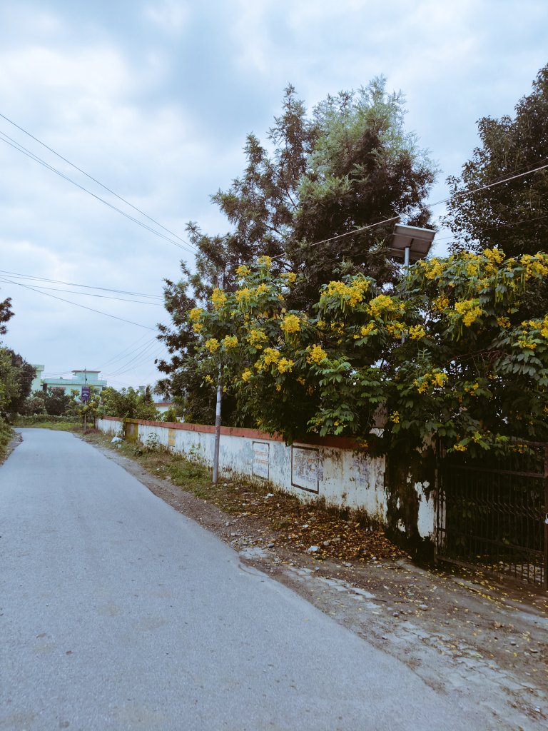 thatdumbcoder's tweet image. When in Home 🏠 
GM 🌞🌻