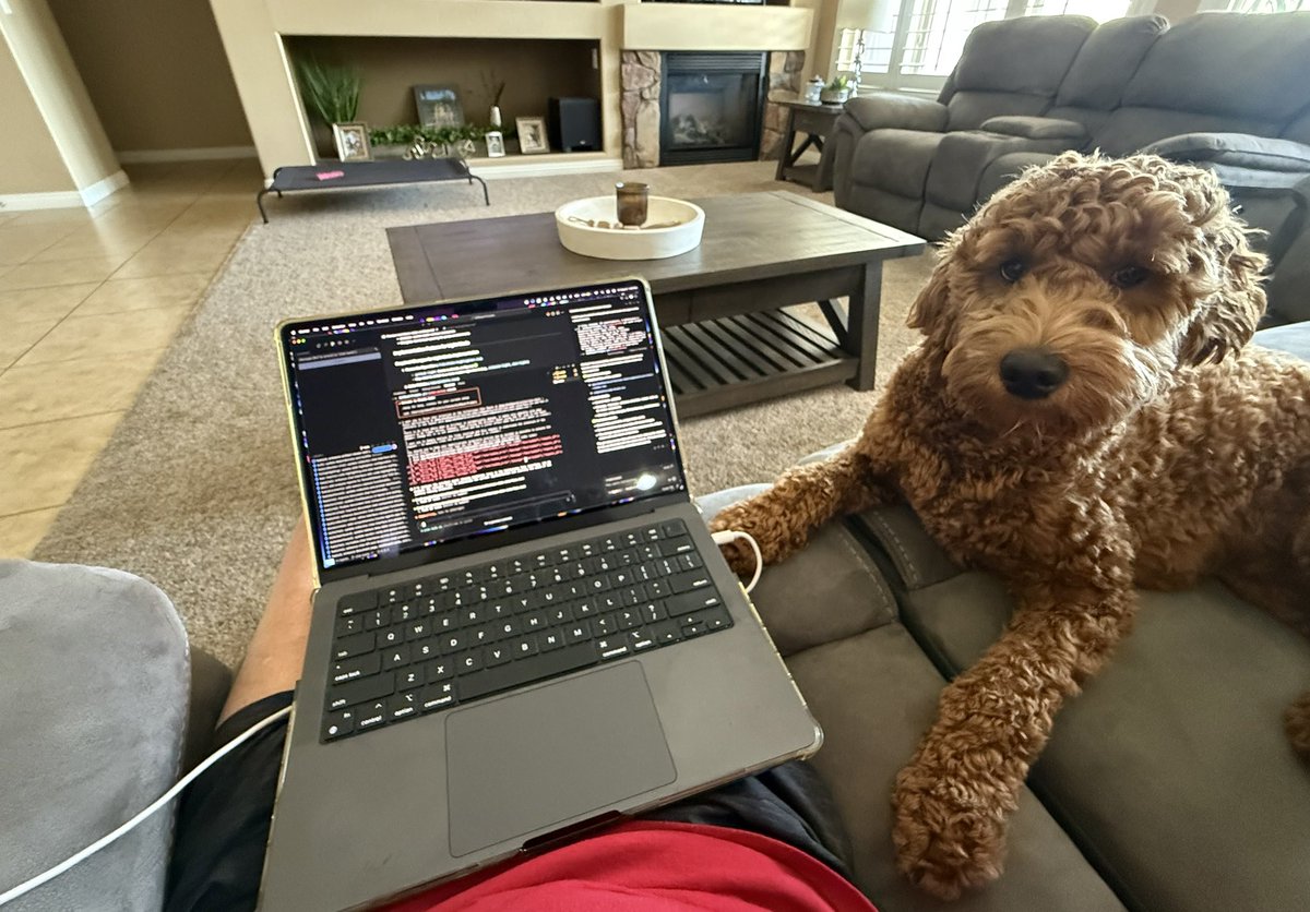 VizMaxd's tweet photo. @William4War @dogeofficialceo Made me learn something!  Looks like an awesome version of a Golden Doodle

These animals are Angels https://t.co/pUbtp3fzW3