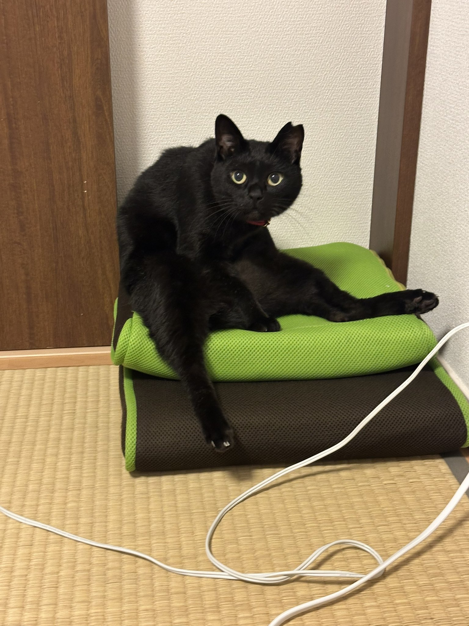 黒猫 on X: 