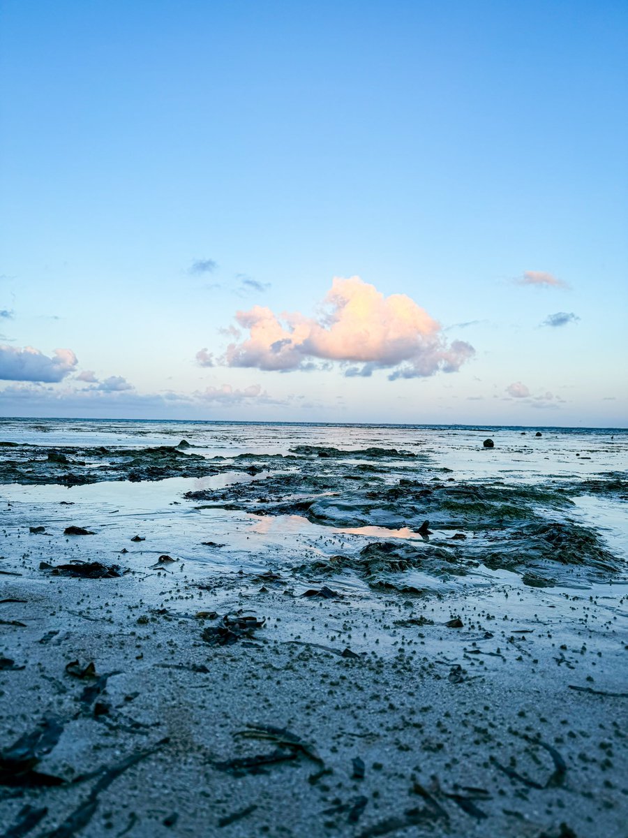 Standing on the shores of Mombasa this week, I felt such deep appreciation of how the ocean is the beating heart of our planet. It gives us oxygen, regulates our climate, sustains millions, and is home to extraordinary biodiversity.
I’m grateful that I get to be in spaces like