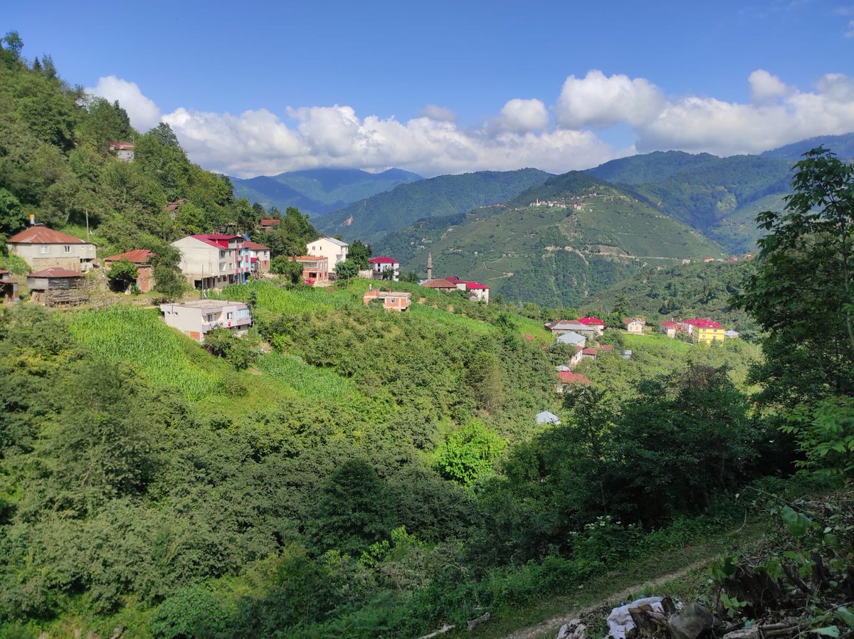 🇹🇷 Günaydınlar Türkiye'm 🇹🇷 Günaydınlar 💛 Fenerbahçe Ailesi 💙 Sağlıkla mutlu gönlünüzce güzel bir Cuma günü dileğiyle hayırlı işler bol kazançlar sevgiyle kalın 🇹🇷 #HayırlıCumalar