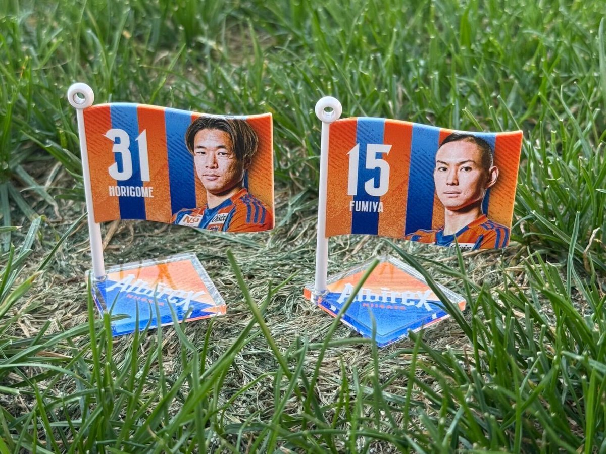 すぐ発送　アルビレックス新潟　パーカー3点　Tシャツ1点　セット　お買い得❣️ すぐ発送 アルビレックス新潟 パーカー3点 Tシャツ1点 セット