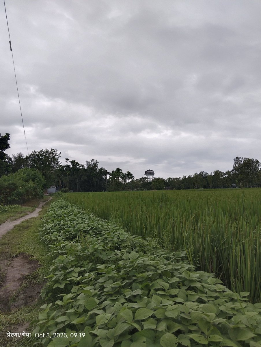 smriti787898's tweet image. Bijaya Dashami finished
#Jaimaadurga