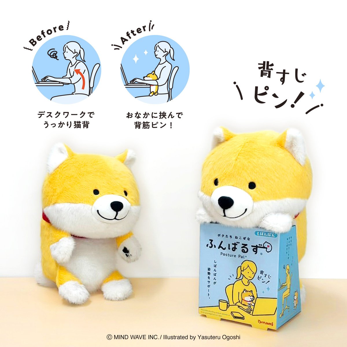 shiba専用ページ Shi-Ba【シーバ】＋犬びより (@ShiBa2929) / X