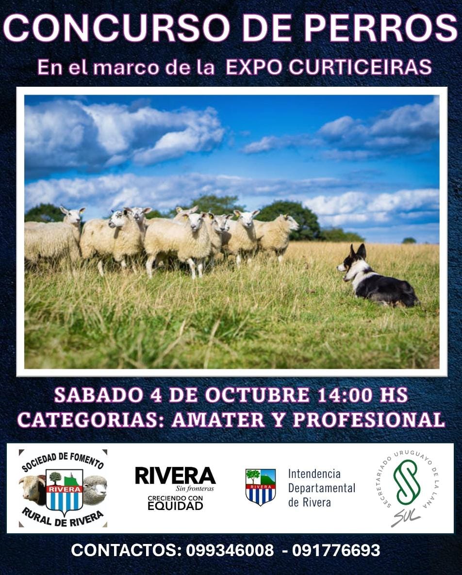 vetGraci's tweet photo. Mañana arranca Expo Curticeiras - Rivera.
Muchas actividades nos esperan
Destacado: Encuentro Binacional de Trabajo artesanal con lana 
88 tejedores 🇺🇾 y 20🇧🇷
- talleres y muestra del trabajo maravilloso que hacen con LANA https://t.co/FYJLrnGSJg