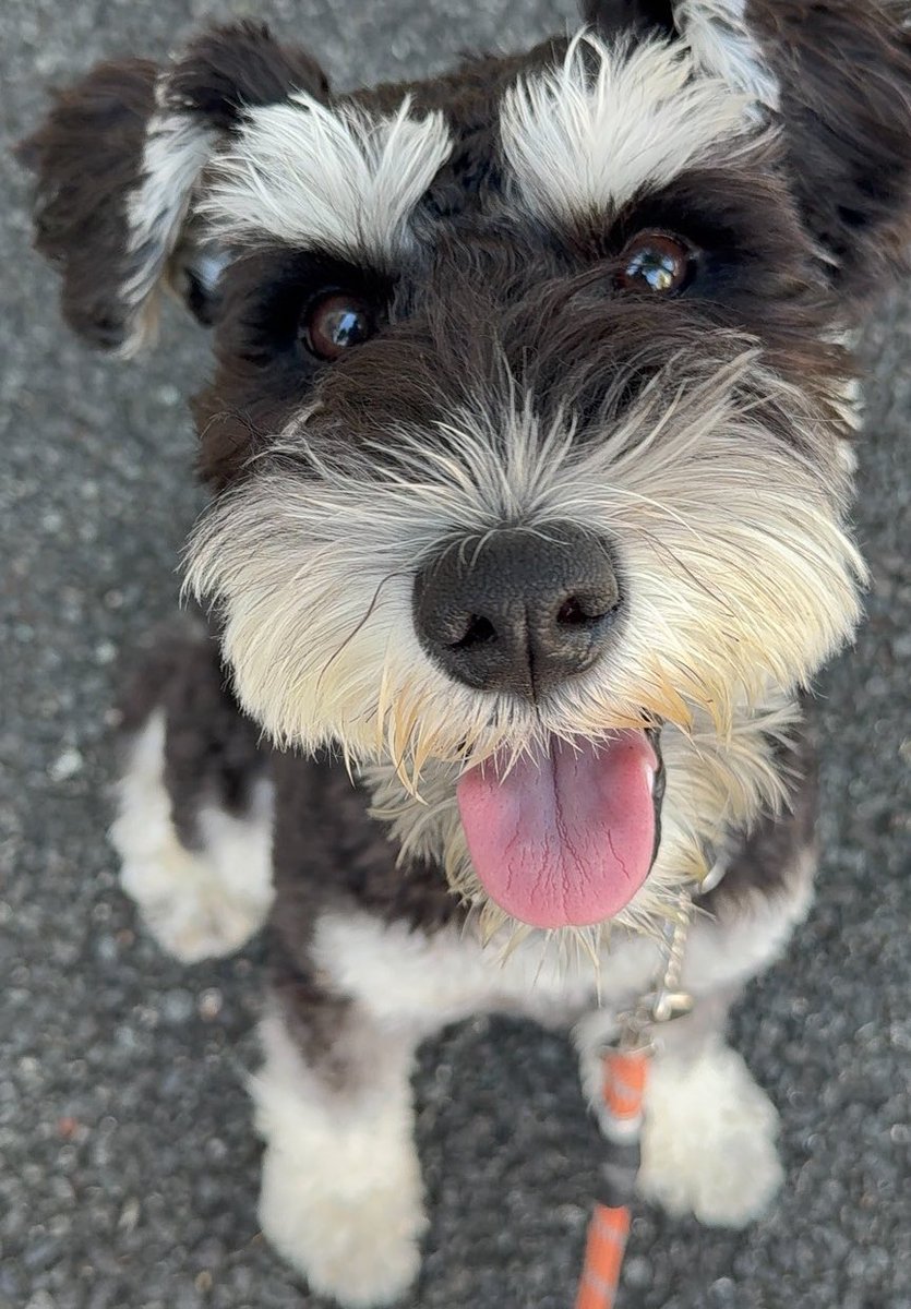 Stephen J. Golds tweet media