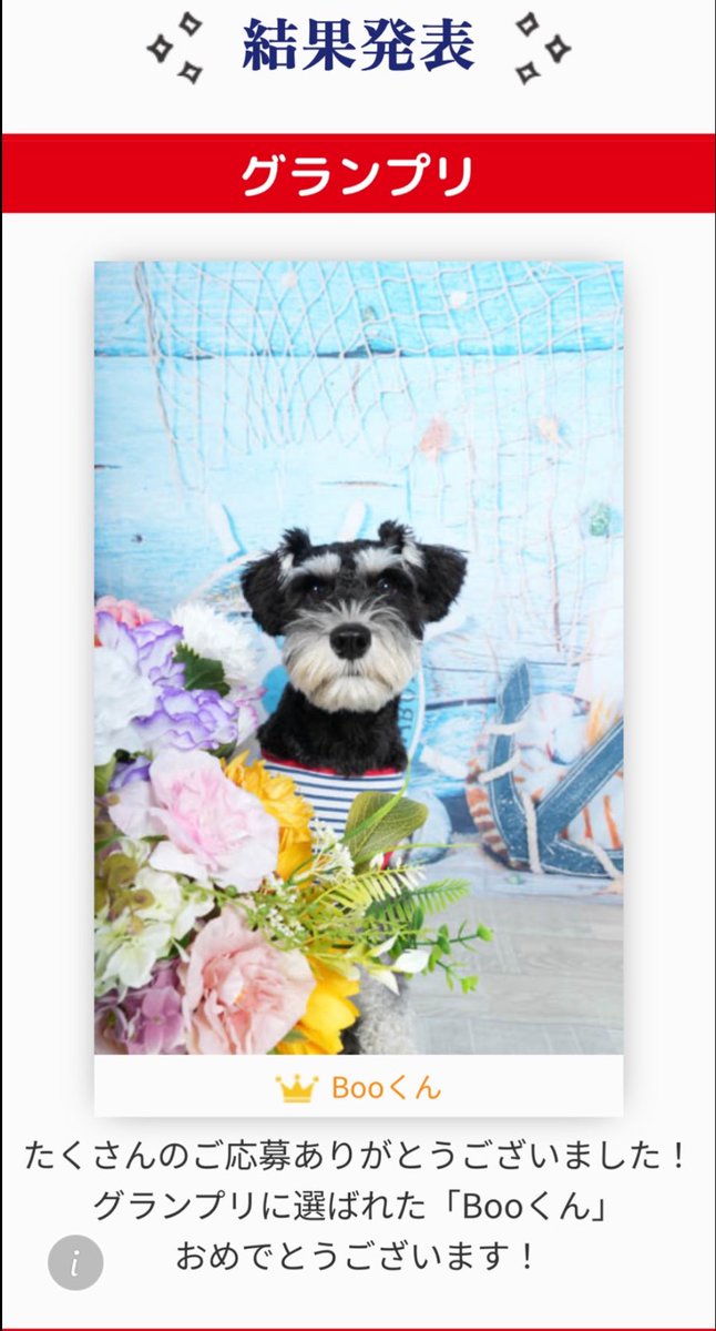 Stephen J. Golds tweet media