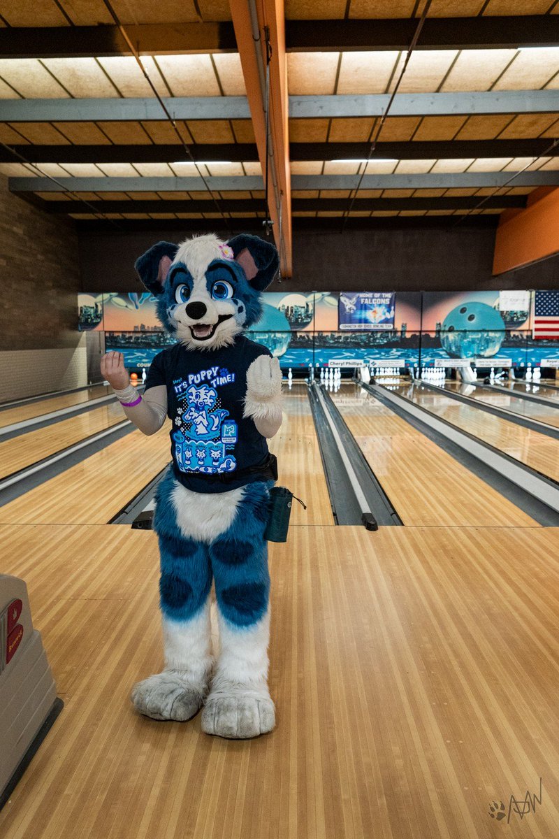 Little Alpha Pup (Milo) 🔜 TFF tweet media