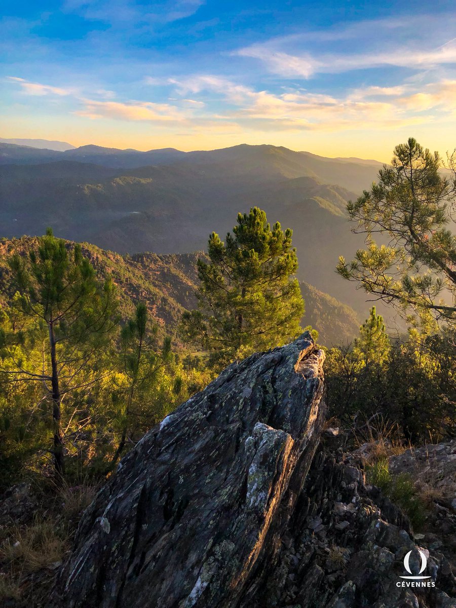 « Ineffable lever du premier rayon d’or !
Du jour éclairant tout sans rien savoir encor !
Ô Matin des matins ! amour ! joie effrénée
De commencer le temps, l’heure, le mois, l’année ! »
🌄🪨🌲☀️
📖 Victor Hugo
📷 @Ozil_Sara 
🗺️ Signal Saint-Pierre 
#Cévennes #Oraterra