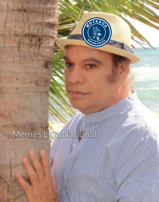 MemesLigaN's tweet photo. Motagua viendo al Olimpia y Real España en semifinales 🤣 https://t.co/SY2SNm2Geq