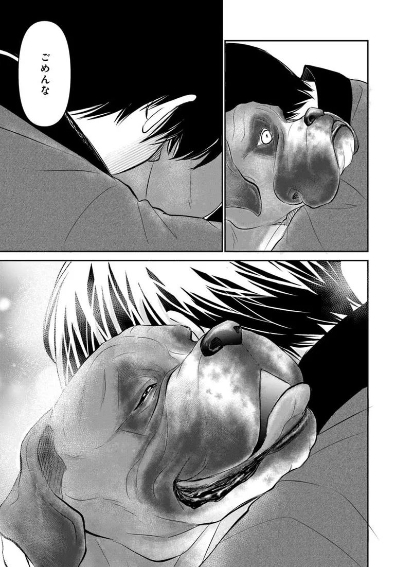 🔔更新情報🔔
『DOG SIGNAL』(作:みやうち沙矢@DogSignal)
第58話④を公開しました!
犬は友達だ🎵どうぞお楽しみください!
https://t.co/Vvr74hnWP0
#カドコミ #コミックブリッジ #うちのこシグナル