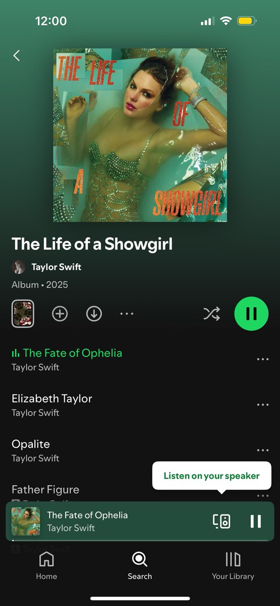 returned to swiftie twitter seconds before #TLOAS ❤️‍🔥need to share my excitement! <a href="/taylornation13/">Taylor Nation</a>