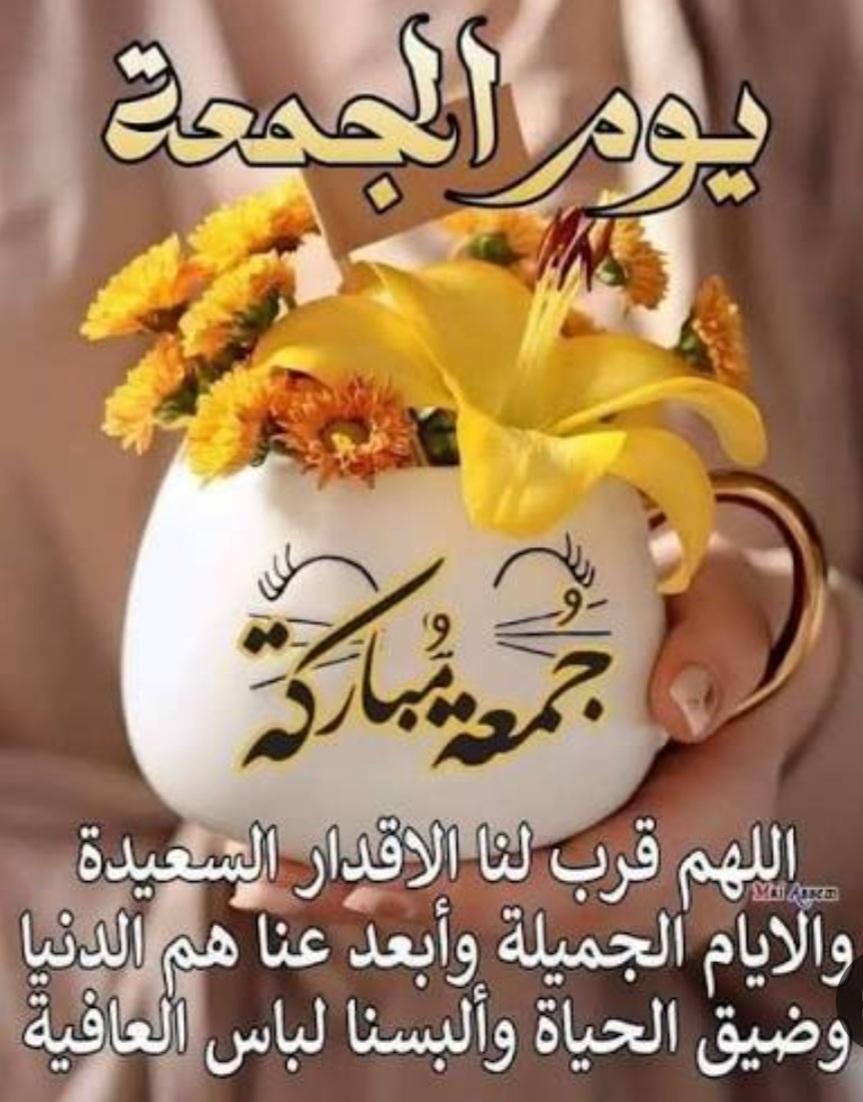 Jmohd644's tweet photo. https://t.co/JSS9ZJDOrB