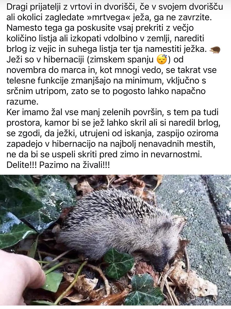 Vas dnevni opomnik.. za jezke se gre 🦔