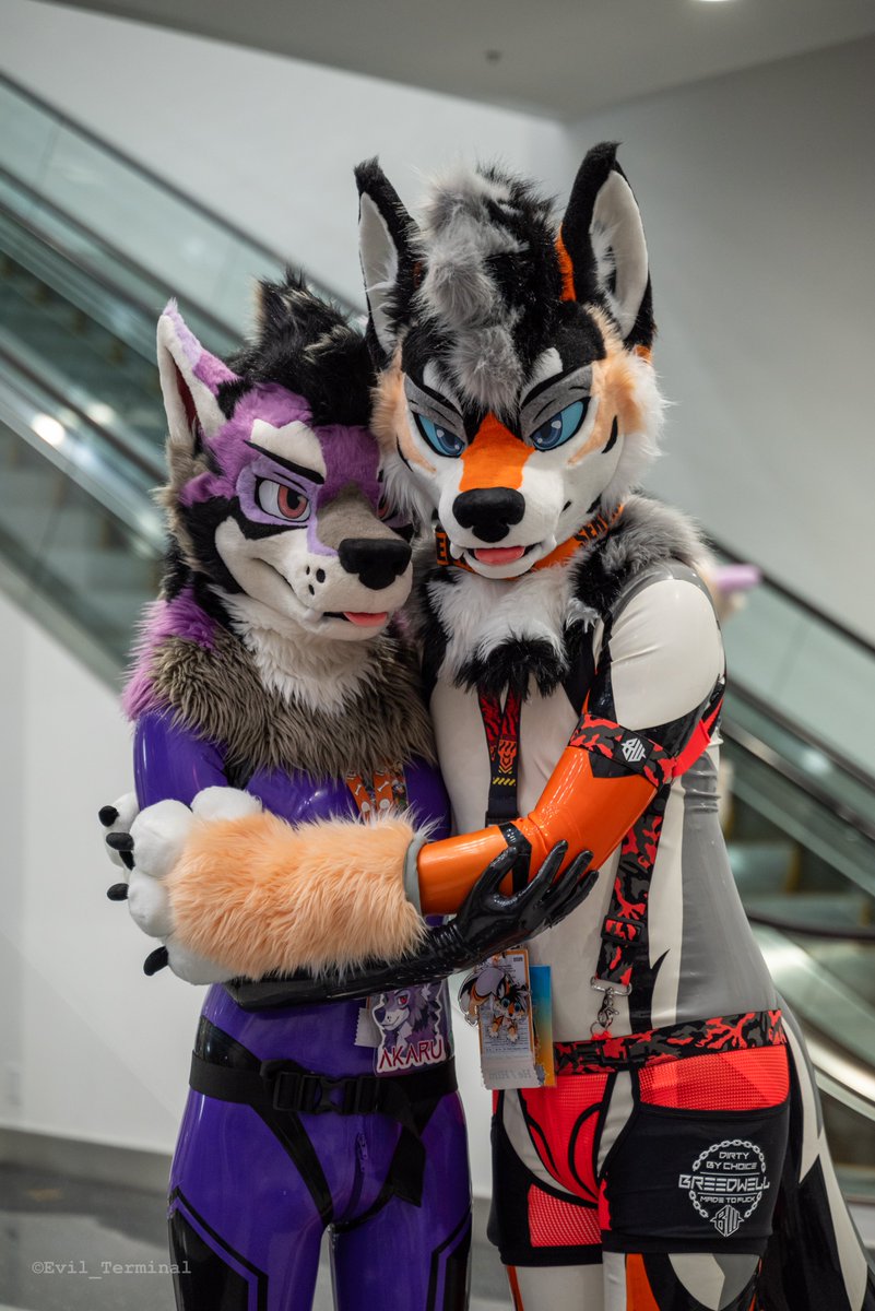 EldricYote's tweet image. Canine bonding time during the day vs. after dark 😈
🐺: @Akaru_Wolf
📸: @Future_Terminal
🪡: @kigurumikagetsu
#Latexfur #Rubberfur #Shinysaturday #SqueakySaturday