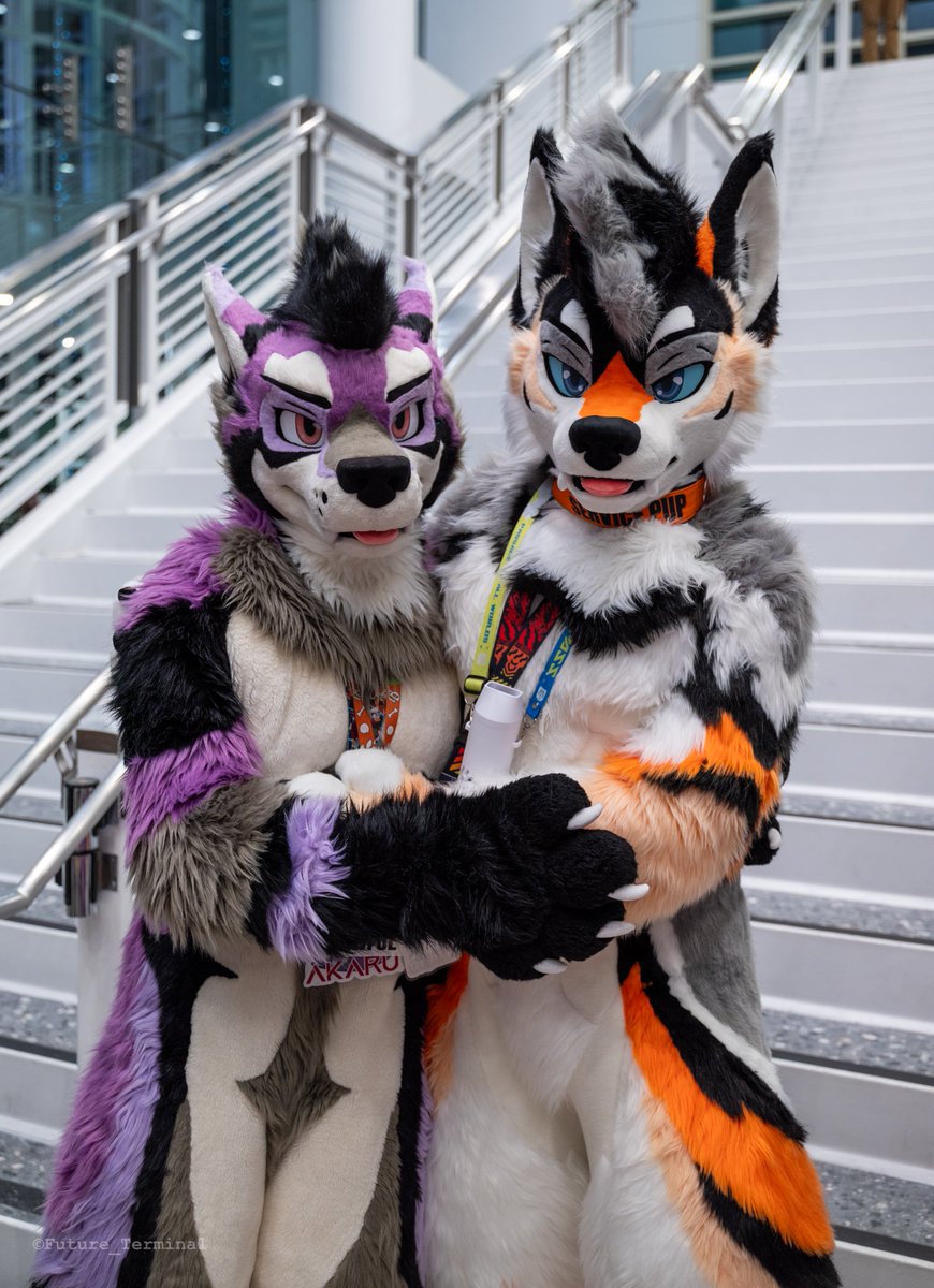 EldricYote's tweet image. Canine bonding time during the day vs. after dark 😈
🐺: @Akaru_Wolf
📸: @Future_Terminal
🪡: @kigurumikagetsu
#Latexfur #Rubberfur #Shinysaturday #SqueakySaturday