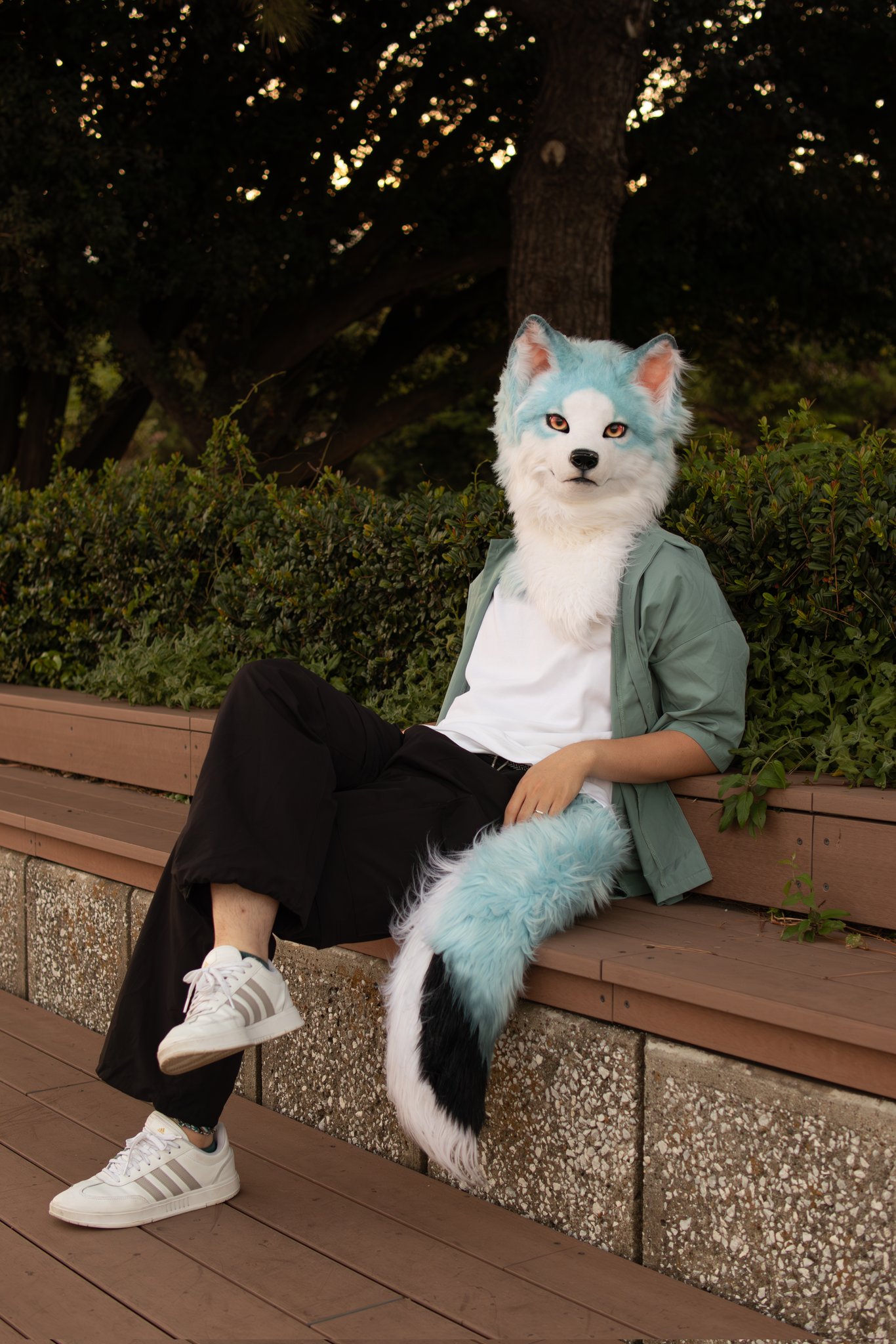 SCOTT - ✰こはくページ‼️✰ 甘楽こはく🤍🦕🪽@どらごん.ᐟ.ᐟ (@k0h4_tuzu_xx) / X