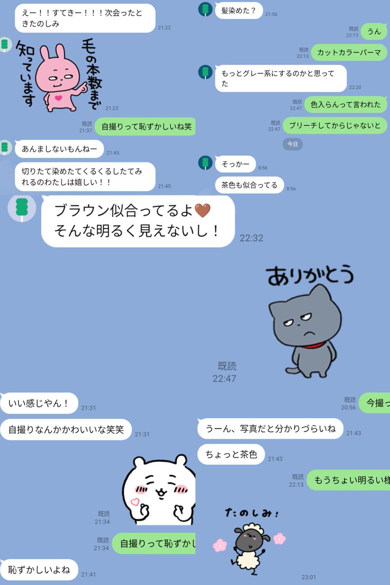 毎月恒例の美容室行ったらキープちゃん達に送って自尊心を高める

今回は波巻きパーマにブラウン