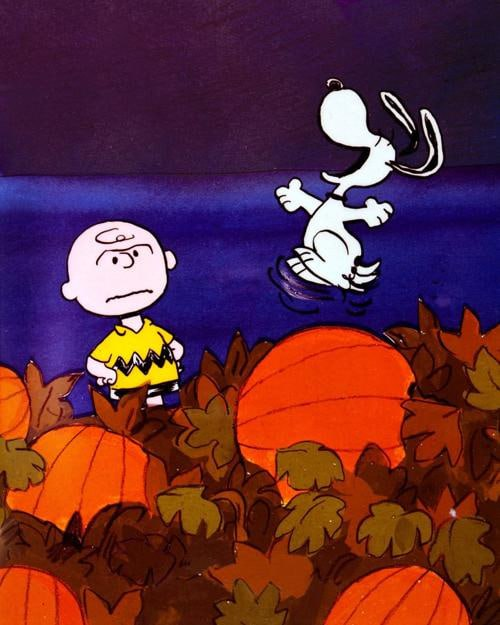 TBifford's tweet photo. 🔥Today is the 75th anniversary of the Peanuts comic strip by Charles Schulz. Charlie Brown and Snoopy remain staples of American culture and the holiday season to this day. 👏👏👏 https://t.co/yKJv6uKwjp