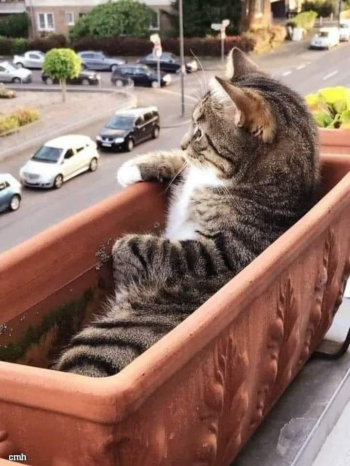 İNSANLAR GÜNAYDIN..😊