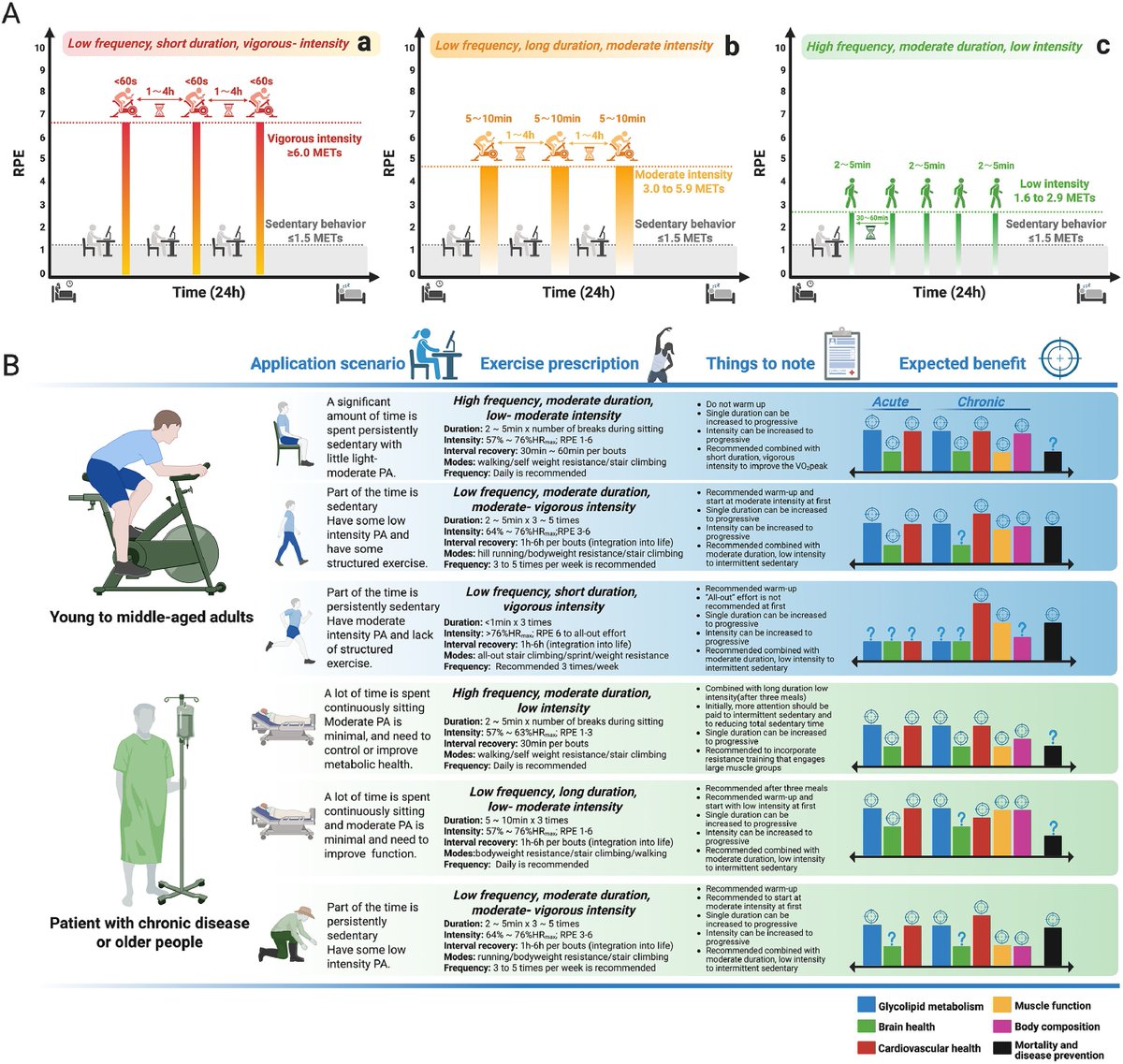 The purpose of this study is to establish an operational definition of short bouts (≤10 min) of accumulated exercise by synthesizing systematic reviews and research trials alongside an expert consensus.