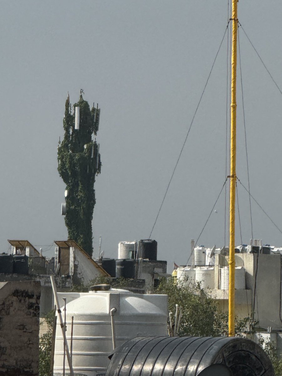 SCGarg6's tweet photo. What a Green use of Telecommunication Tower in Delhi ! https://t.co/lTQ0bt2zRp