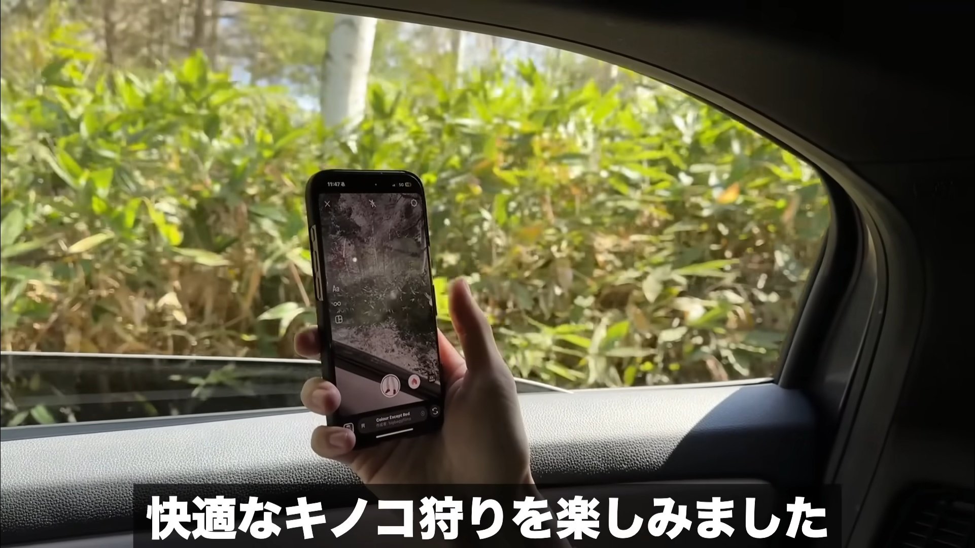 グリーン様•*¨*•.¸♬︎ 60's 白熊柄 カウチンセーター グリーン 実寸(L位) | すべての