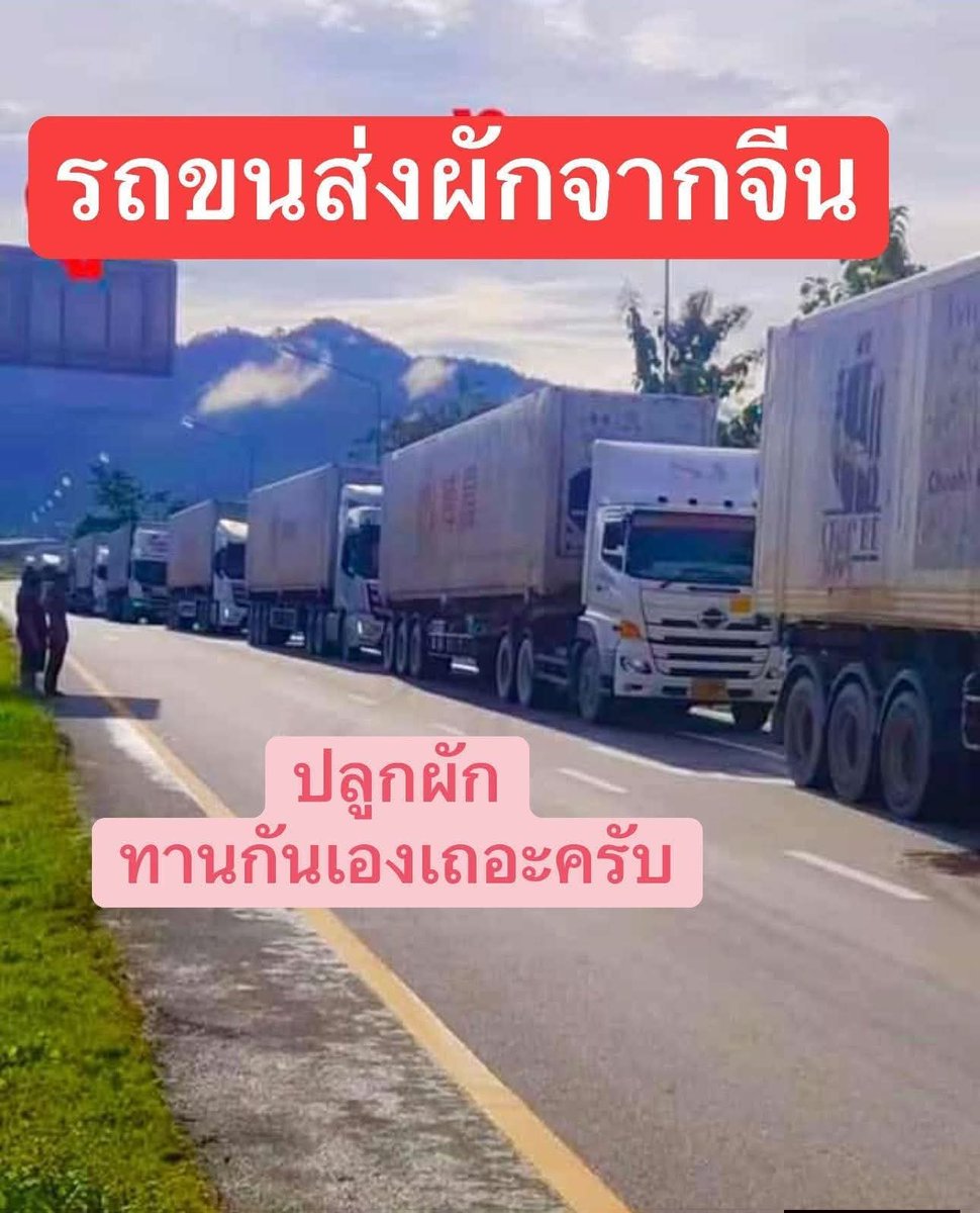 ธีติพงศ์ เอี่ยมละออ tweet media