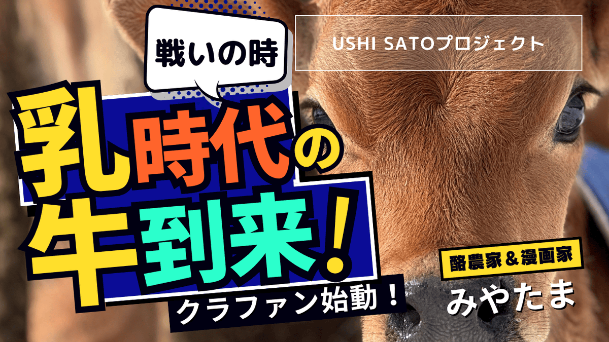yugamomiji's tweet photo. 拡散のご協力お願いいたします。
 https://t.co/DKQV8PxJUV
知っていますか？美味しい牛乳や乳製品！ 美味しいの言葉の中には家畜としても生きられず消える命があります。  

昔からそうやってきた！家畜だから当たり前・・その言葉に潜む恐ろしい行動がある。 
それを気づくのは現場ではない。
  採算が合わない！肉牛としても生きられず産まれながらに処分へ・・
 たくさんの牛乳を作り頑張った乳牛の行くべき先・・
 妊娠した現役の母牛ですら採算が合わない状況になった時肉として出す と聞いた時は物でしかないと実感しました。  

でも現場だからこそ変えられる事があると私は思います！ 少しでも意識が変わるようなきっかけ・・
小さくても波紋のように 広げられたらと行動します！！
 酪農の盛んな北海道中標��町・・ここから始まります！！ 

皆さんのご支援よろしくお願いします。  
計画や進行は随時クラファンページの活動報告でアップします！ 
YouTubeのMIYATAMA TV も更新中！ 

 チラシ画像は印刷して自由に使ってください！貼ってもらえる場所も大歓迎！！

#酪農 #放牧 #新規就農 #放牧酪農 #乳牛 #漫画家 #酪農家 #家畜保護 #家畜 #クラウドファンディング #ジャージー #子牛 #中標津 #道東 #北海道 #安楽死 #殺処分 #怪我