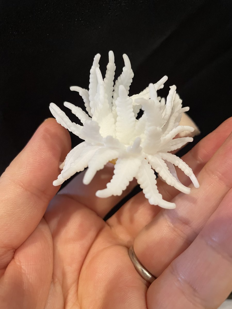 Y・MSF LLC (@y39298) / Posts / X