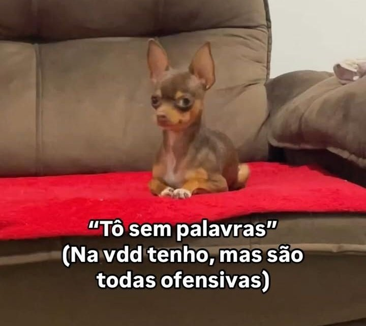 odeiootaco's tweet photo. https://t.co/MQojtSszSZ