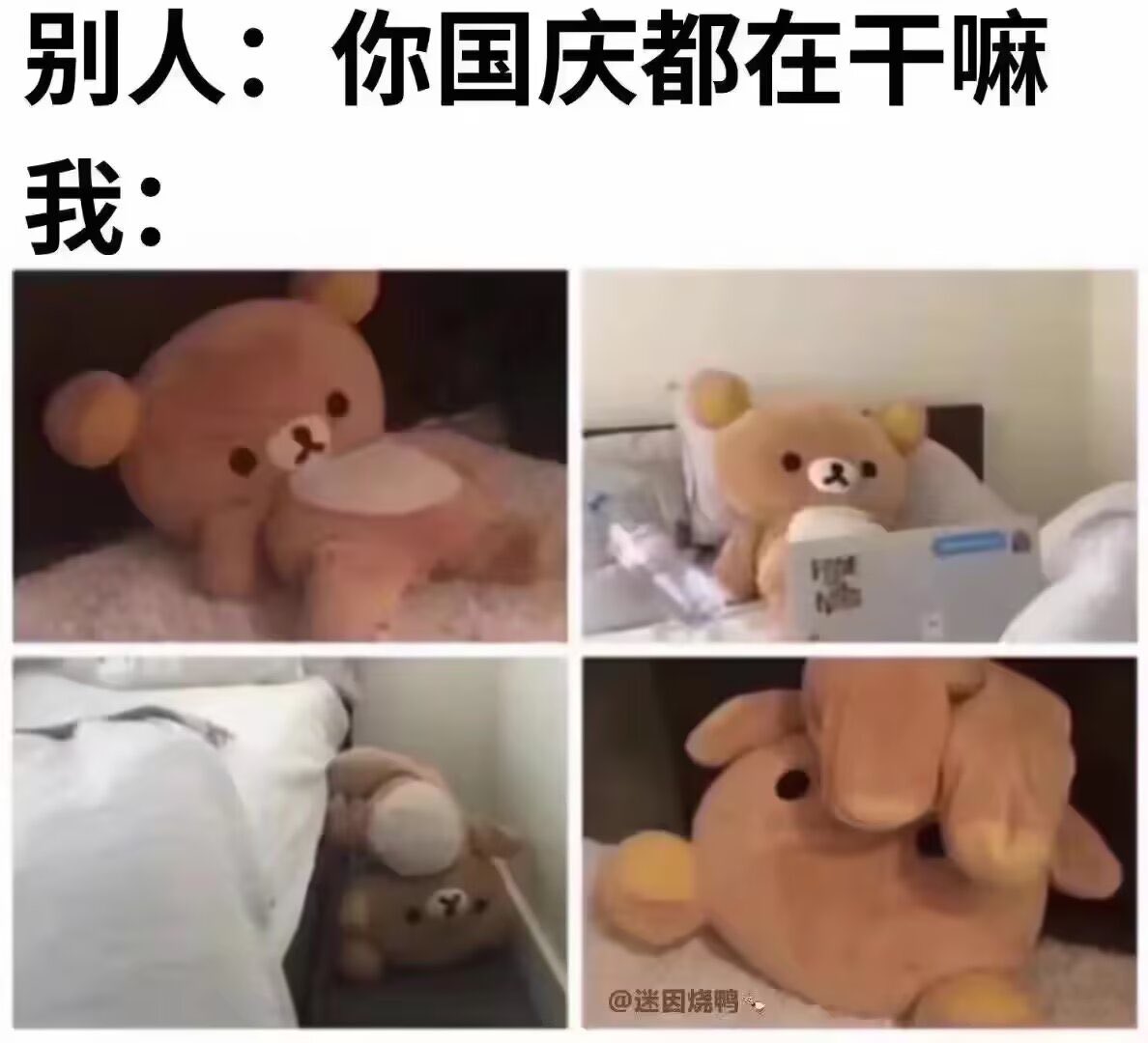 媒体预览