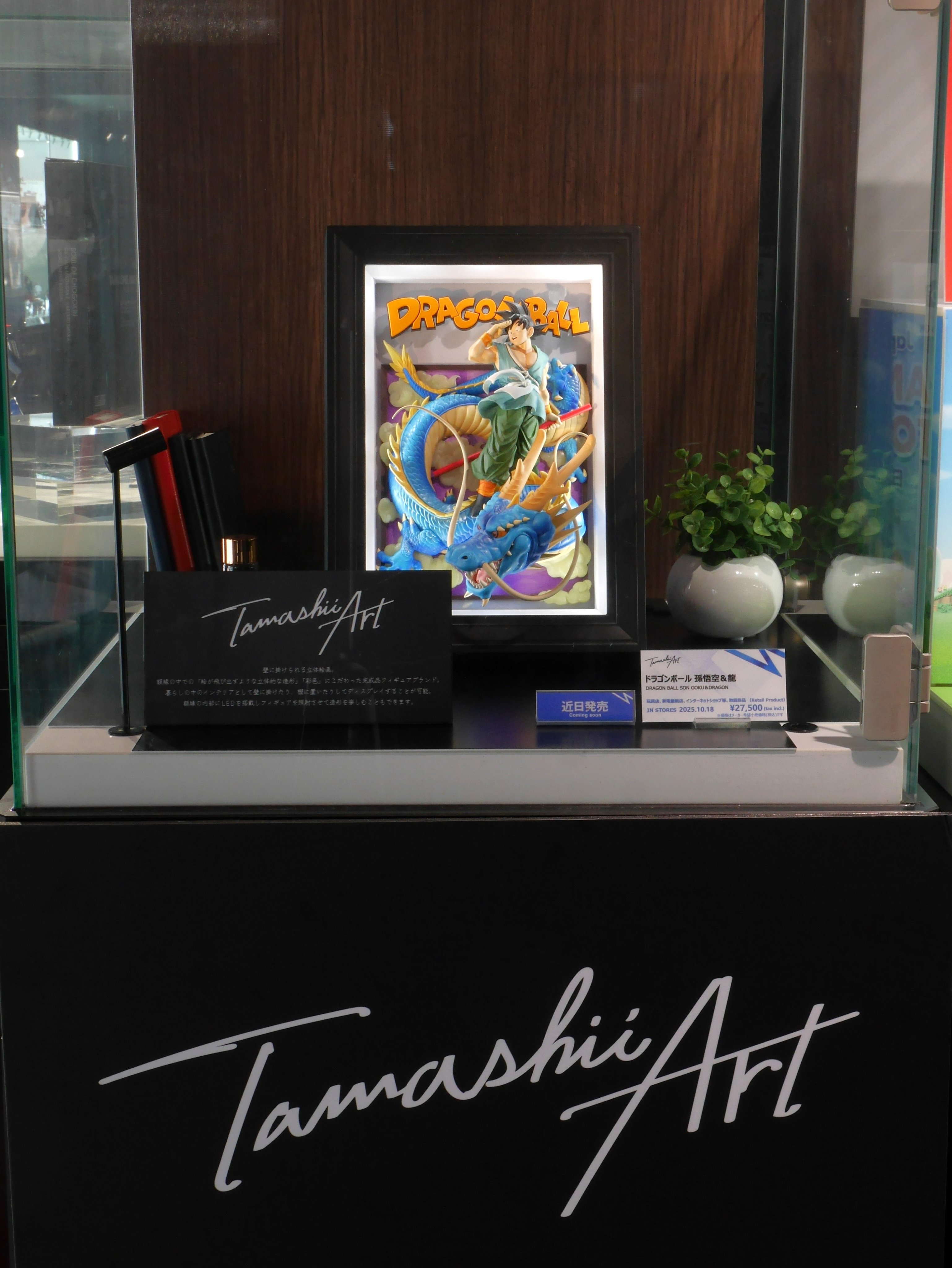 ドラゴンボール  DRAGON BALL   繪畫  3D 額装 カラー選 TAMASHII NATIONS STORE TOKYO on X: 