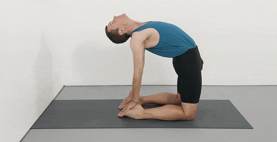 FitLifePlan's tweet image. #ustrashon #yoga #gym