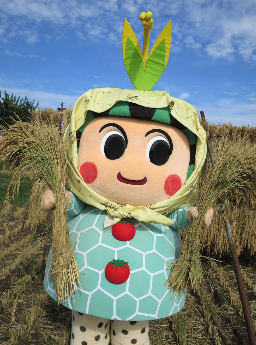 つがーるちゃんです（。∂◡∂。🌾）

ゆるキャラすもう大会
取り上げていただいた番組
たくさんの方に見ていただいて
ありがとうございます♡

ユルくはなかったすもう大会
楽しんでいただけましたでしょうか(*^-^*)

来年も、どすこい♡　どすこい♡

津軽もあと少しで
稲刈り終了です(^○^)
