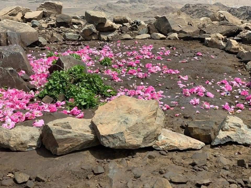 *کل جہاں کی مائیں ہوں آپ پر فدا*
*میرے آقا ﷺ کی پیاری والدہ ماجدہ*💐