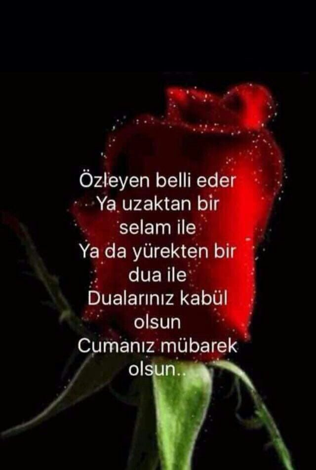 Merhameti olmayan kalpten korkarım o yüzden hep duâmdır merhâmeti olana denk düşelim.

Selamün Aleyküm 
Hayırlı Nurlu Cumalar dostlarım.🌺☘️